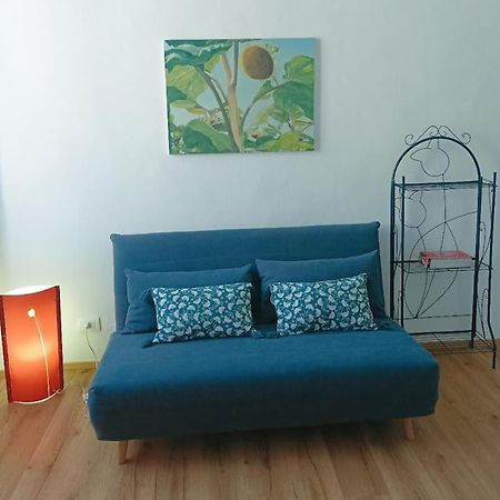 Pane E Tulipani, Cozy Apartment Near City Center トリノ エクステリア 写真